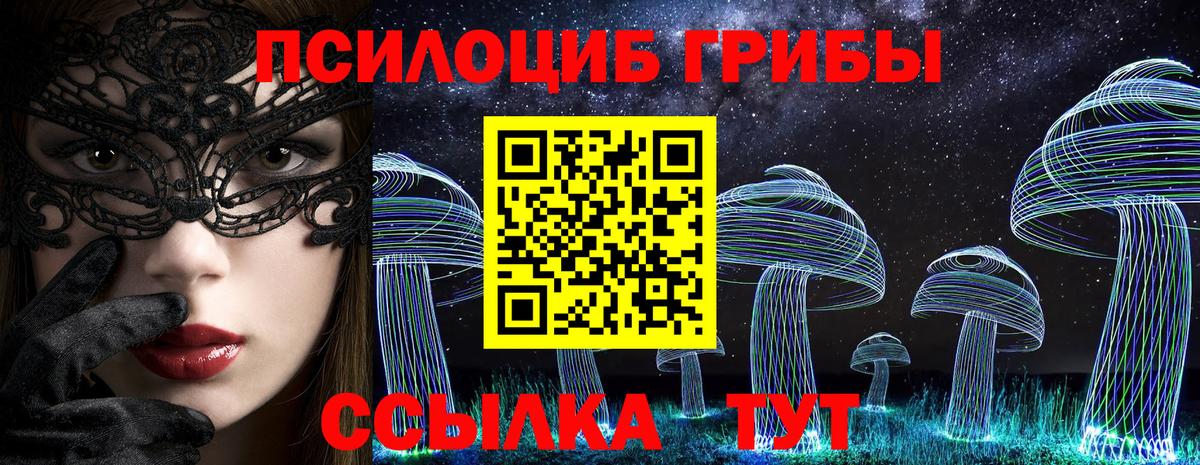 Галлюциногенные грибы Psilocybine cubensis Дмитров