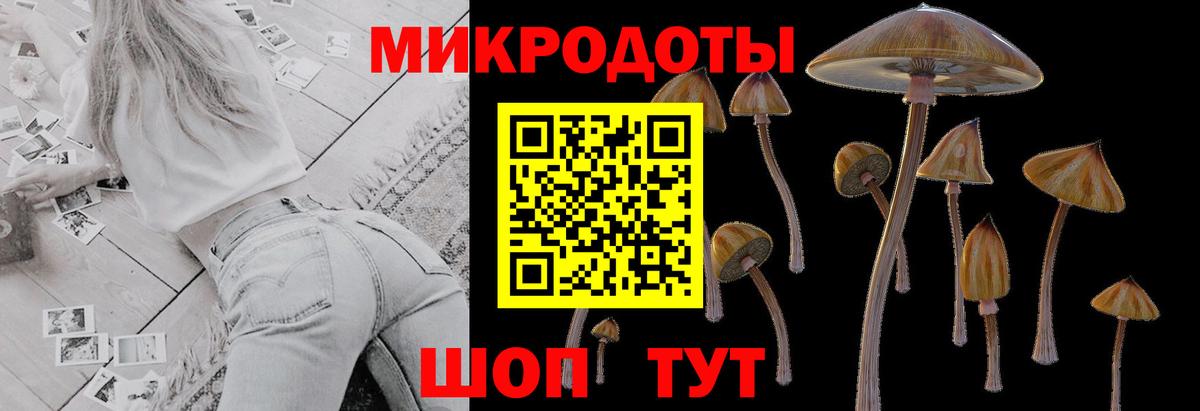 Псилоцибиновые грибы мухоморы  Галлюциногенные грибы мицелий  Дмитров  Вход с VPN 